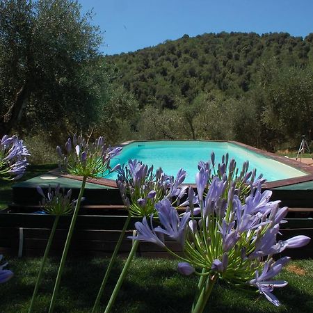 Il Pino Bed & Breakfast Vetulonia Bagian luar foto