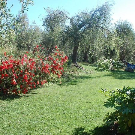 Il Pino Bed & Breakfast Vetulonia Bagian luar foto