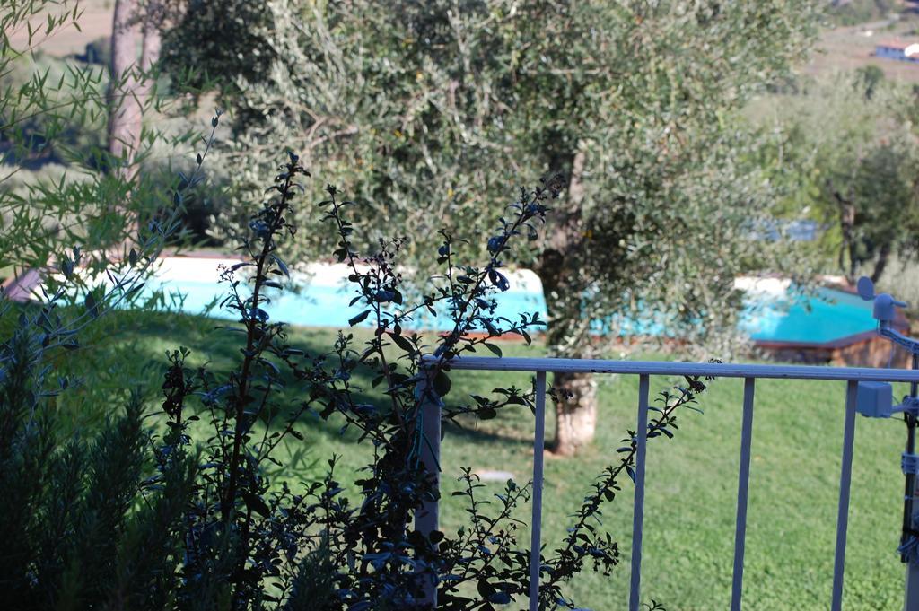 Il Pino Bed & Breakfast Vetulonia Bagian luar foto