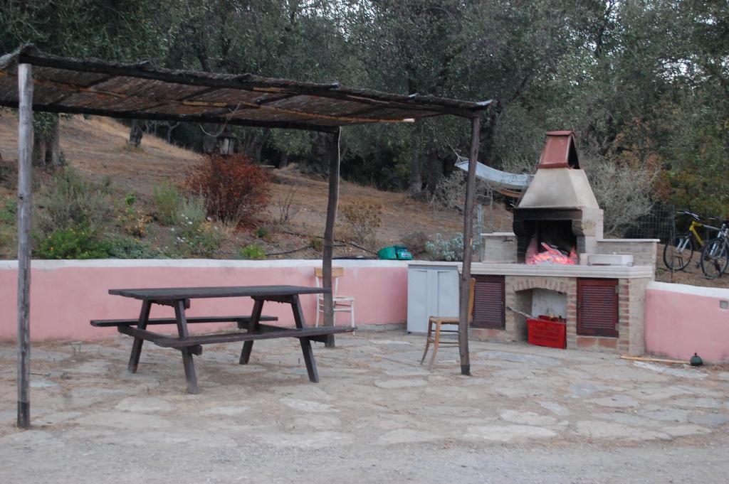 Il Pino Bed & Breakfast Vetulonia Bagian luar foto