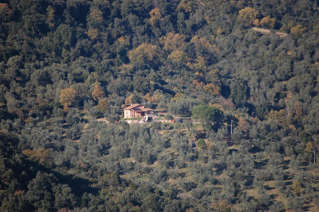Il Pino Bed & Breakfast Vetulonia Bagian luar foto