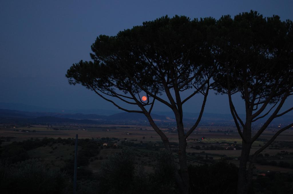 Il Pino Bed & Breakfast Vetulonia Bagian luar foto